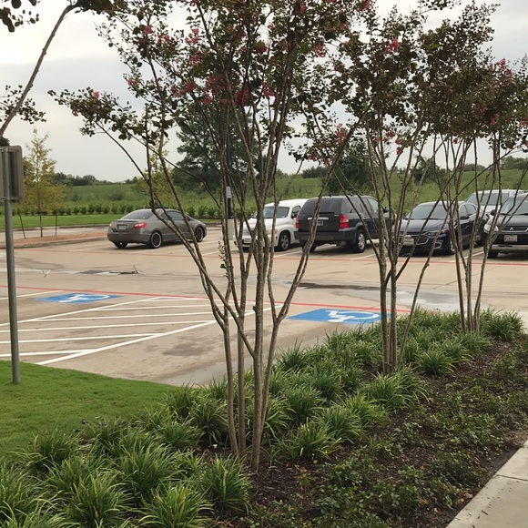 alsada1979